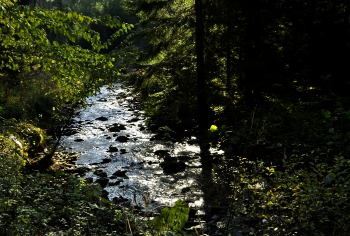 Stříbrná Čeladenky, listopad, Beskydy